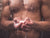 Bodycare intimitijd